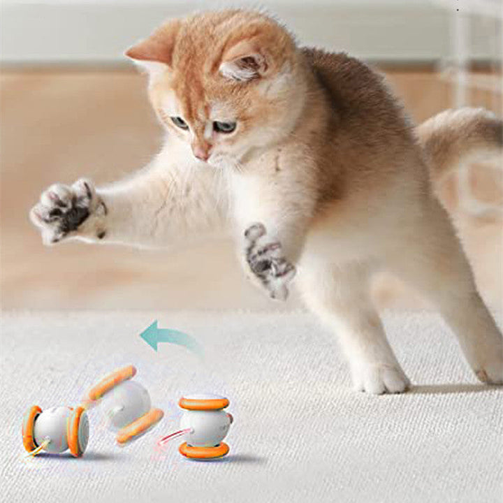 Unleash Endless Fun with the Electric Intelligent Interactive Charging Teasing Pet Toy
