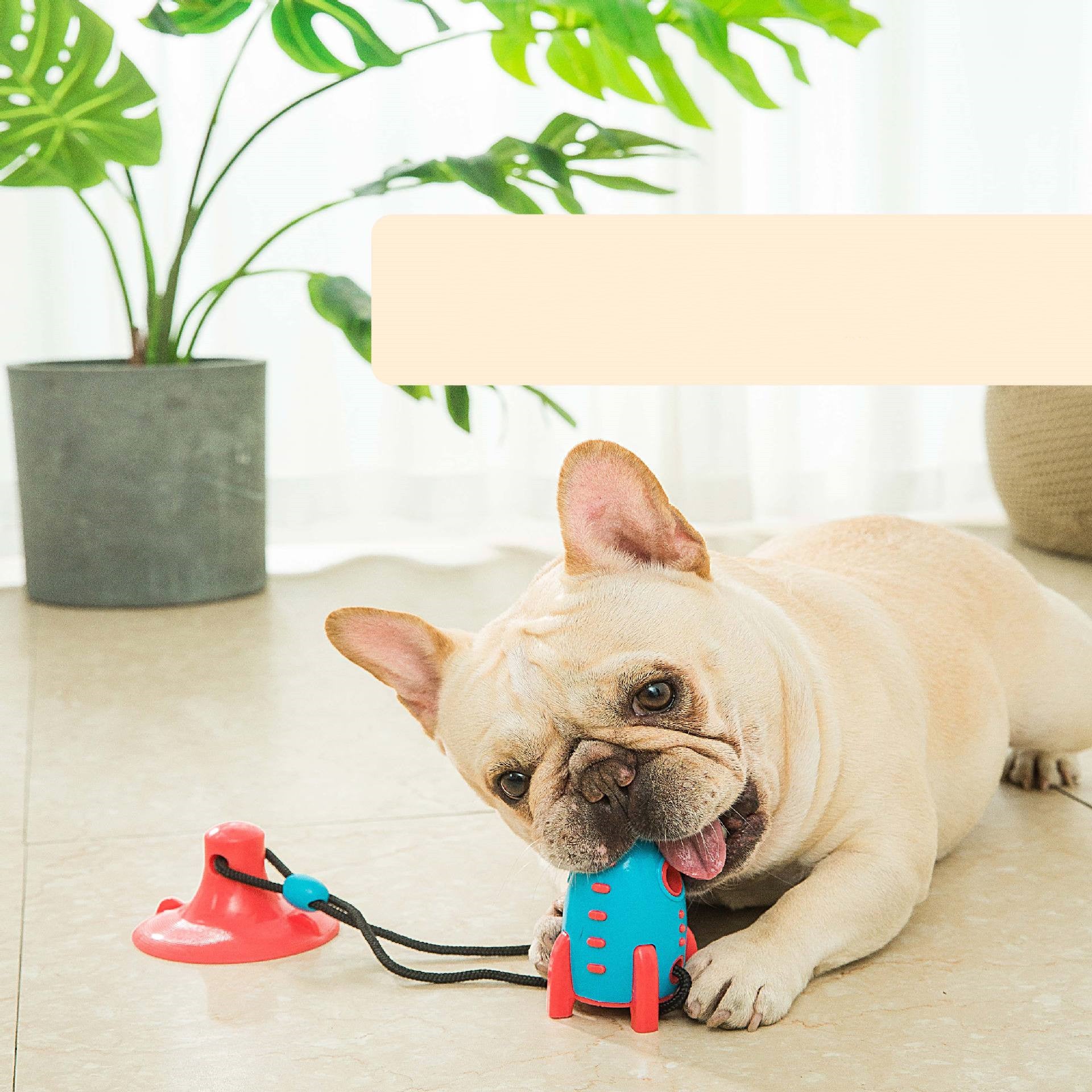 Discover the Ultimate Chew Toy for Your Pet: The Pet Rocket Food Dispensing Chew Toy Collection