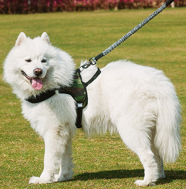 Adjustable Chest Harness Pet Leash: The Perfect Companion for Your Furry Friend