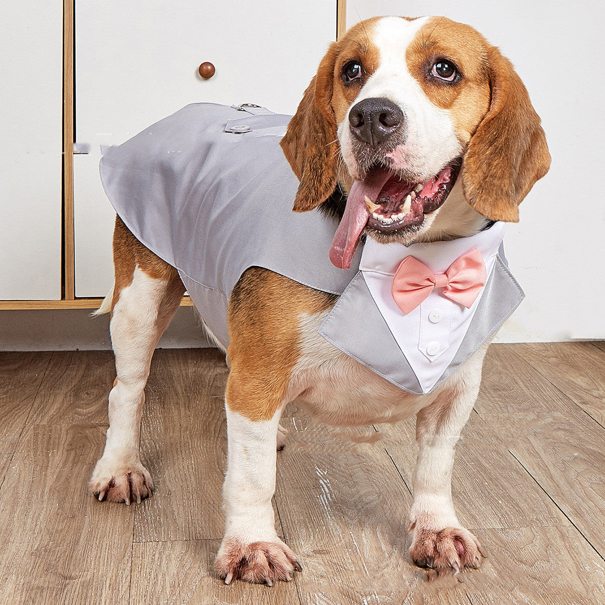 Elevate Your Pet's Style with the Pet Swallowtail Wedding Suit Jacket