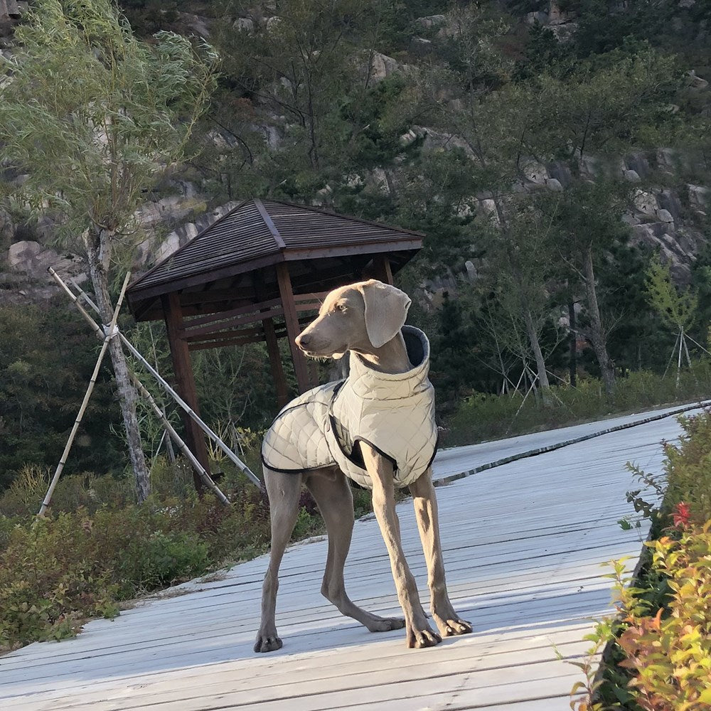 Why Your Pet Needs the Full Body Reflective Tactical Jacket
