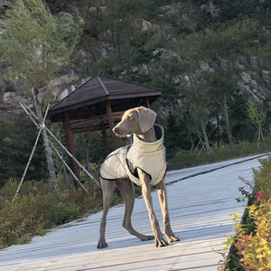 Why Your Pet Needs the Full Body Reflective Tactical Jacket