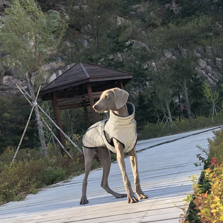 Why Your Pet Needs the Full Body Reflective Tactical Jacket