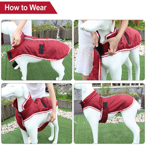 Autumn And Winter Warm Pet Leisure Waterproof Jacket