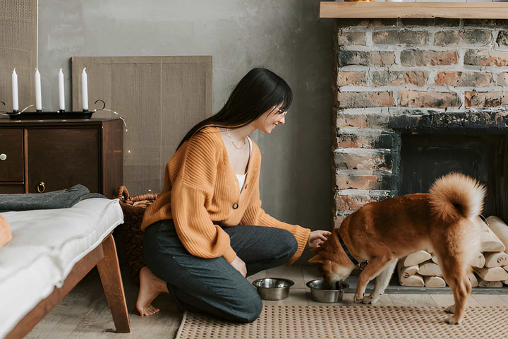 Feeding Essentials for Healthy Pets
