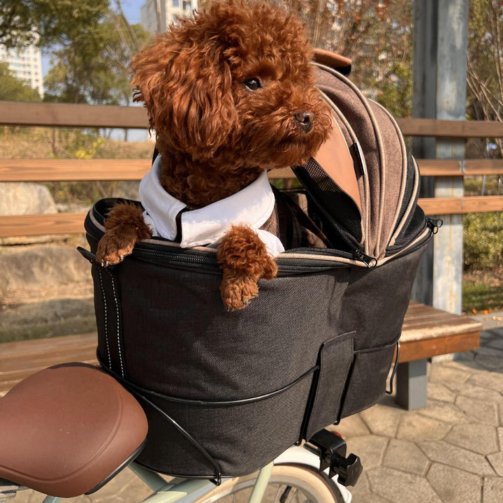 Foldable Pet Carrier Bag Canvas Bicycle Rear Seat Dog & Cat Travel Bag